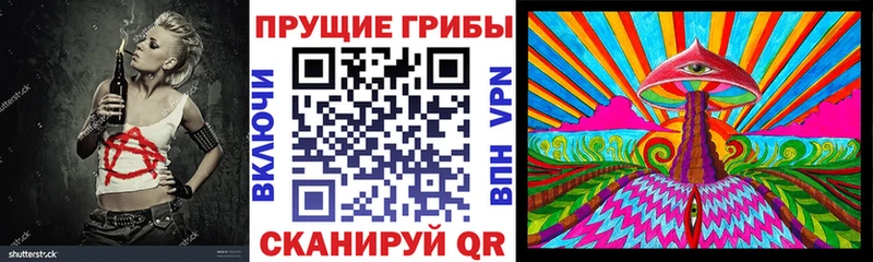 Галлюциногенные грибы Cubensis  Купить где  Новокубанск 